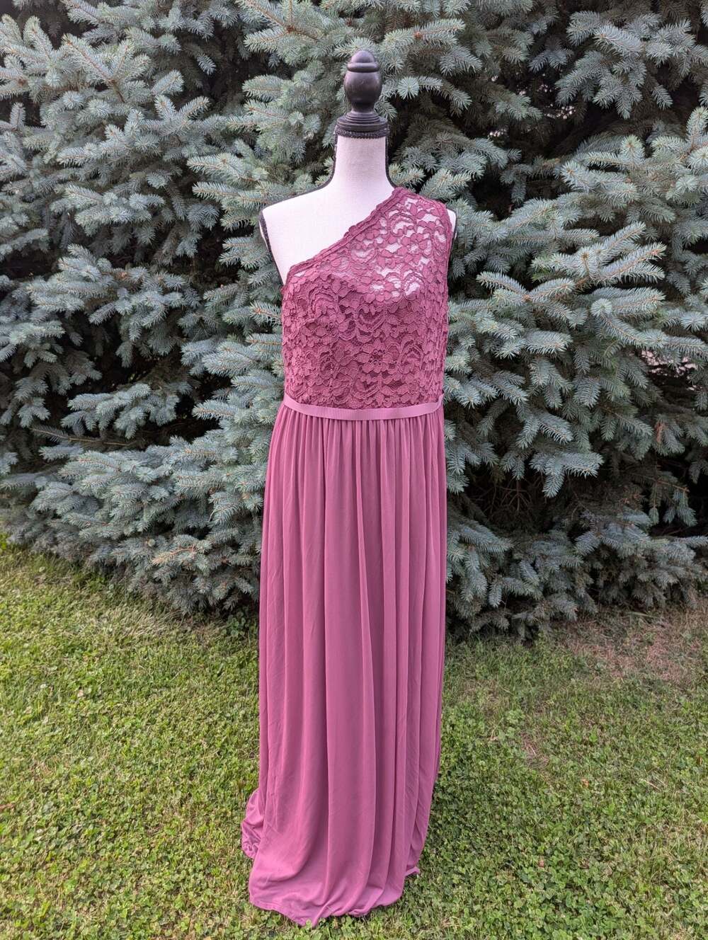 DB Studio Celebrate One-Shoulder Lace Bodice Chiffon Bridesmaid Dress